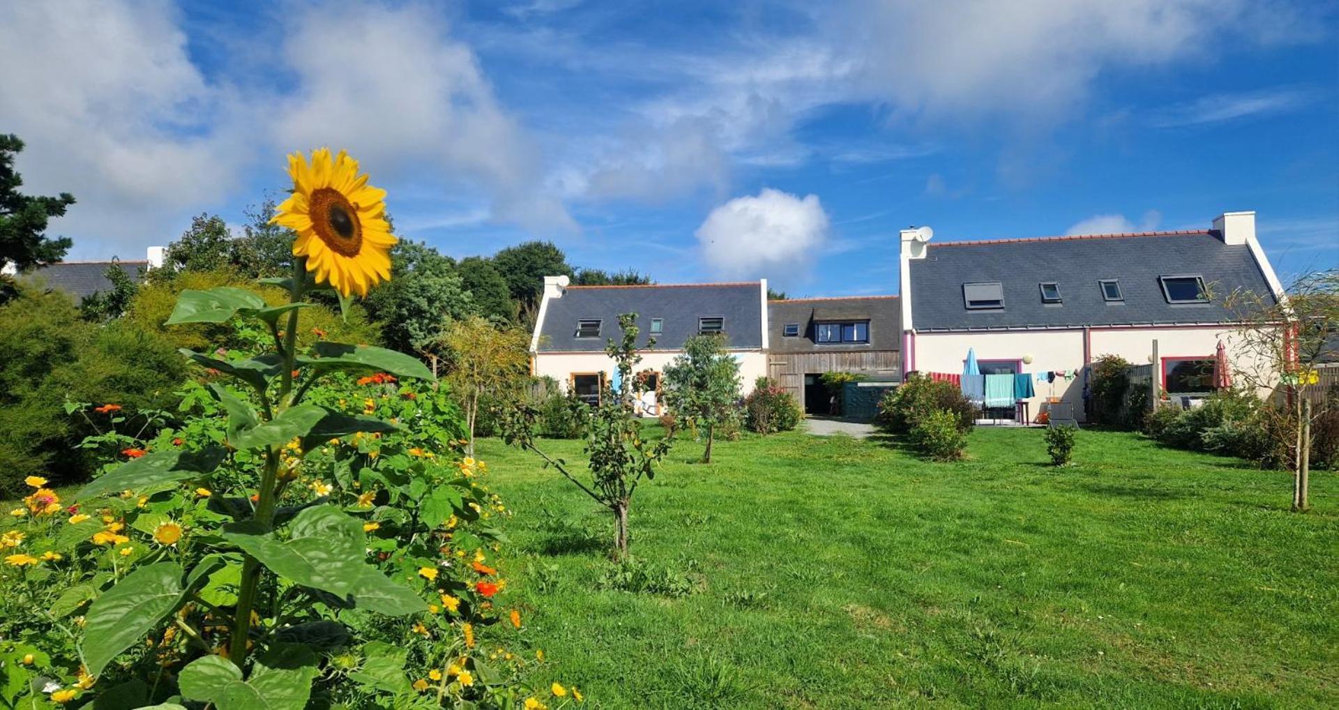 Les Maisons De Kerdavid'Ile - Votre Residence De Vacances A Belle Ile En Mer Locmaria Exteriér fotografie